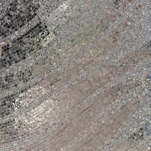 Handmade Flower Mosaic Art #120 | Botanical Tile Wall Decor