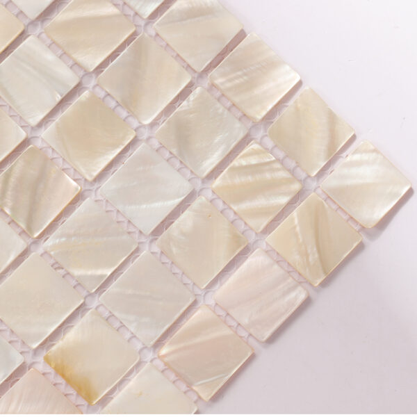 Polished Beige Seashell Square Mosaic Tiles